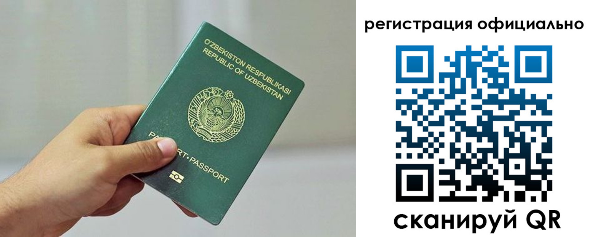 прописка в квартире в Борзе