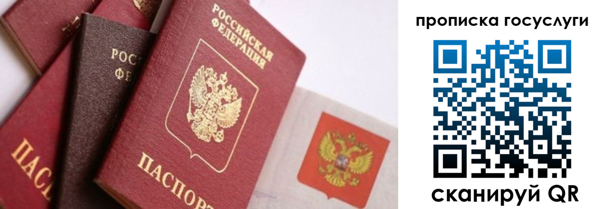 прописка законно в Борзе